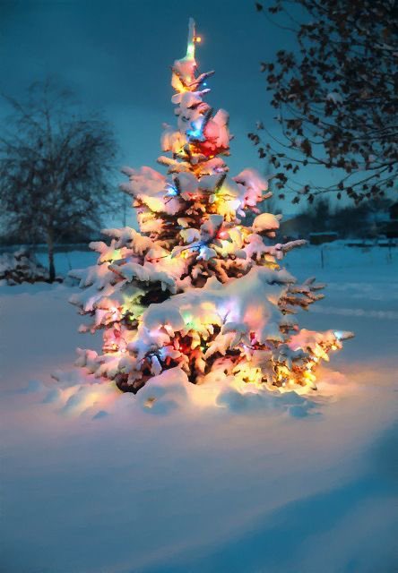 JTPuk's tweet photo. Merry Christmas to everyone celebrating. Enjoy the day and stay safe. 🎄🎄 https://t.co/SHdgM9wbEY
