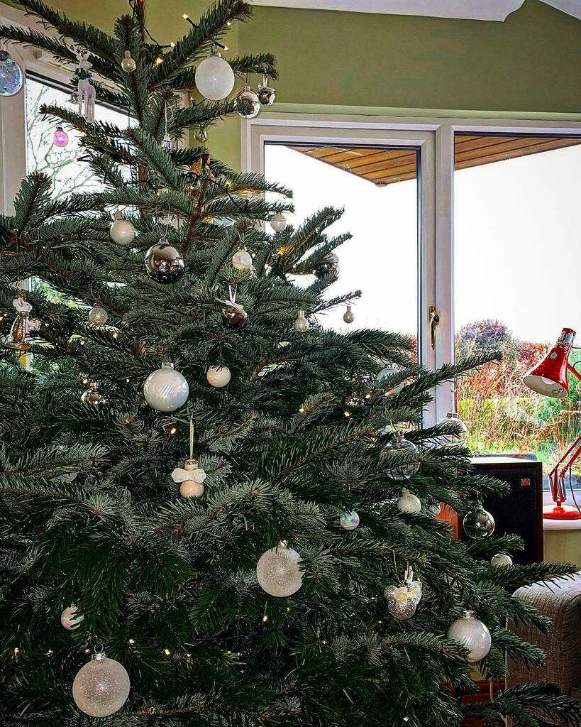 BearImp's tweet image. Wishing everyone a very Merry Christmas. 
Here’s to wonderful times spent with family &amp;amp; friends.
🎄🎅🎁🎁 instagr.am/p/CX57jxaIpff/