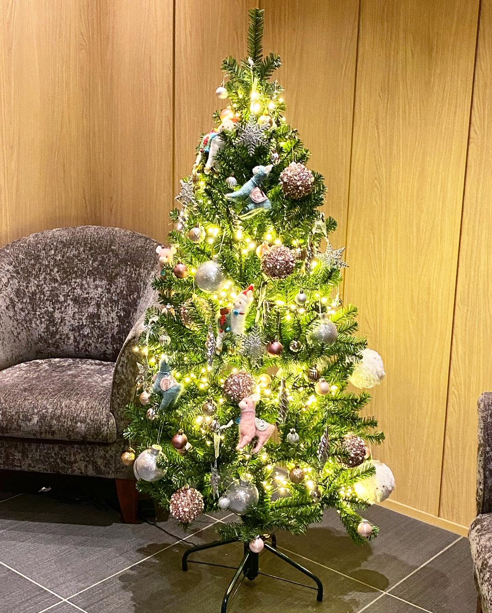 mayucha_uta's tweet photo. Merry Christmas🎄❤️
毎日寒いけどお元気ですか？

あたたかくして素敵なクリスマスをお過ごしくださいね🎼🎅

#MerryXmas 
#merryxmas2021 
#Christmas #xmastree 
#メリークリスマス https://t.co/20pty7MFac