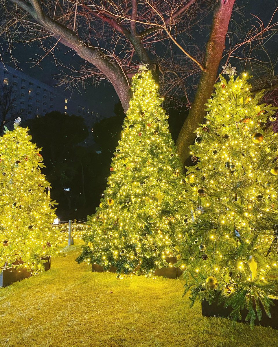 mayucha_uta's tweet photo. Merry Christmas🎄❤️
毎日寒いけどお元気ですか？

あたたかくして素敵なクリスマスをお過ごしくださいね🎼🎅

#MerryXmas 
#merryxmas2021 
#Christmas #xmastree 
#メリークリスマス https://t.co/20pty7MFac