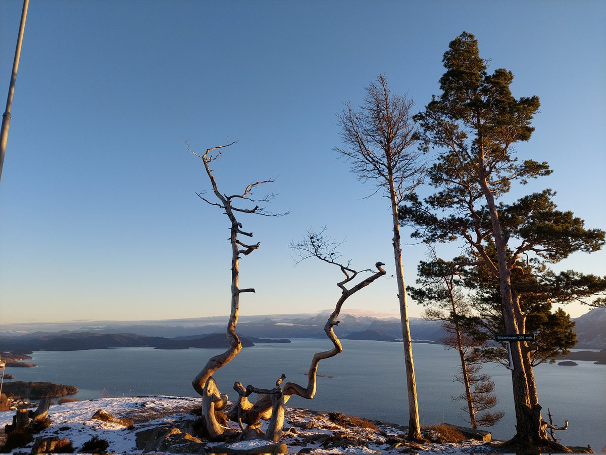 iespedalen's tweet photo. Blåbærhaugen,  Onarheim,  Tysnes,  Norway.  25.12.2021.

Merry Christmas!
#MerryChristmas #blåbærhaugen #Onarheim #Tysnes #Sunnhordland #norgerundt #godjul https://t.co/KIoajQtHzx