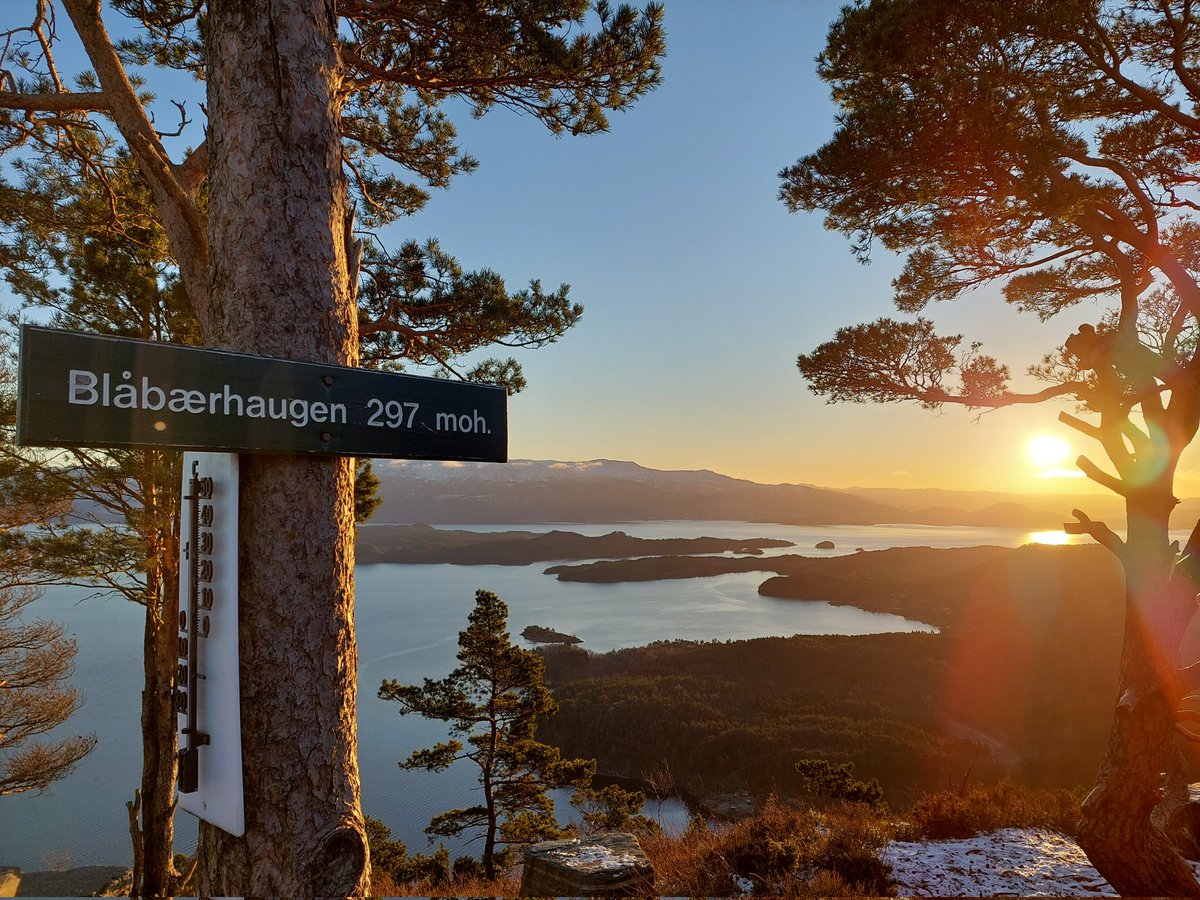 iespedalen's tweet photo. Blåbærhaugen,  Onarheim,  Tysnes,  Norway.  25.12.2021.

Merry Christmas!
#MerryChristmas #blåbærhaugen #Onarheim #Tysnes #Sunnhordland #norgerundt #godjul https://t.co/KIoajQtHzx
