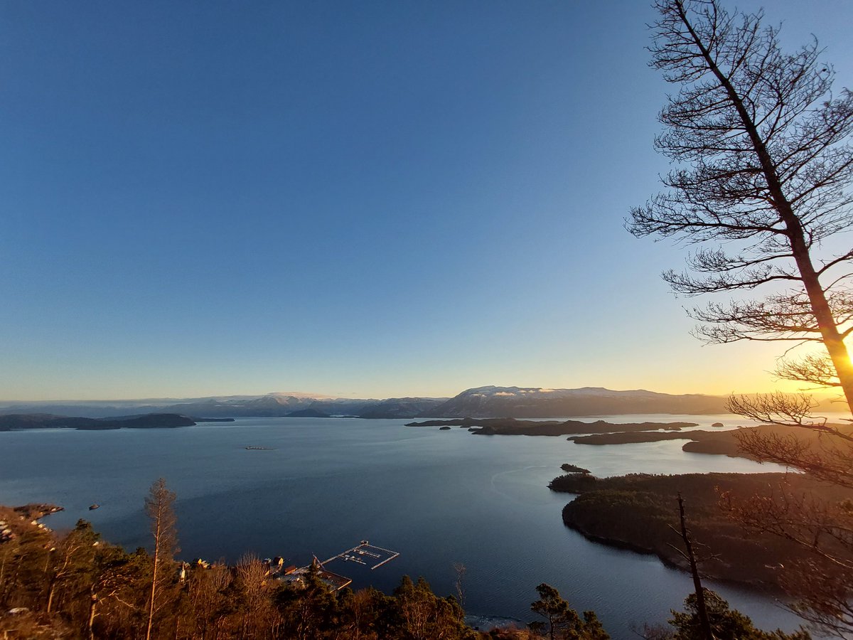 iespedalen's tweet photo. Blåbærhaugen,  Onarheim,  Tysnes,  Norway.  25.12.2021.

Merry Christmas!
#MerryChristmas #blåbærhaugen #Onarheim #Tysnes #Sunnhordland #norgerundt #godjul https://t.co/KIoajQtHzx