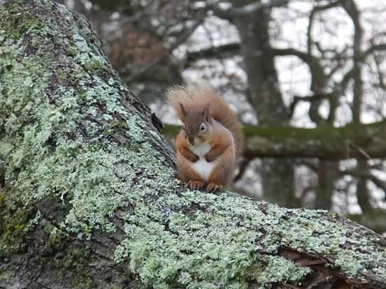 A very Happy Christmas to you all! We hope you enjoy your lunch as much as this wee fella!