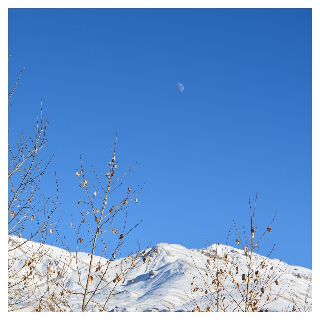 SpitiEcosphere's tweet photo. Wishing all of y'all a jolly Christmas! May your families be grinning and your tummies be brimming. 

In #spiti, we're having a white #Christmas. With warm mugs of chai and #Arak, family gatherings and prepping for the upcoming festivities, the villagers are full of laughter! https://t.co/6k8vMnN1Ff