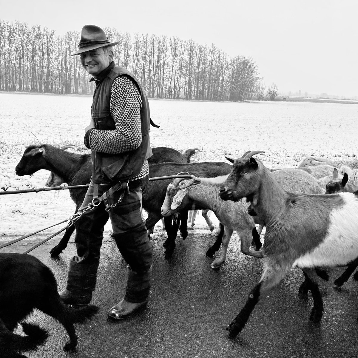ThiloSeibt's tweet photo. @Blaue_Ampel #Borderland 
.
The shepherd with his goats.
The flock of sheep follows.
A short break from everyday life.
.
#PhotoChallenge #BlueChristmas #SHEPHERDS #MerryChristmas2021 #photography #photo https://t.co/yn4HoyBAy0