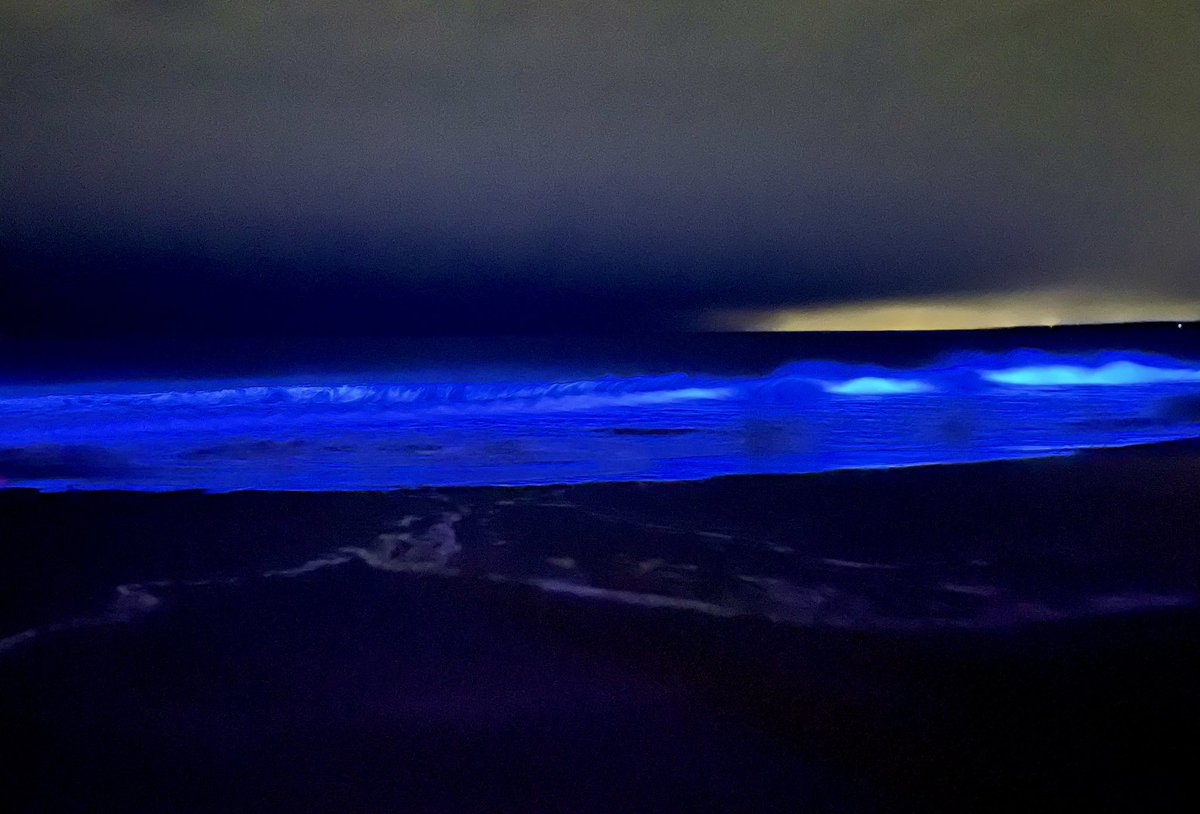 3bB1212's tweet image. クリスマスに大洗来るの初めて✨🎄
 #NIGHTWAVE