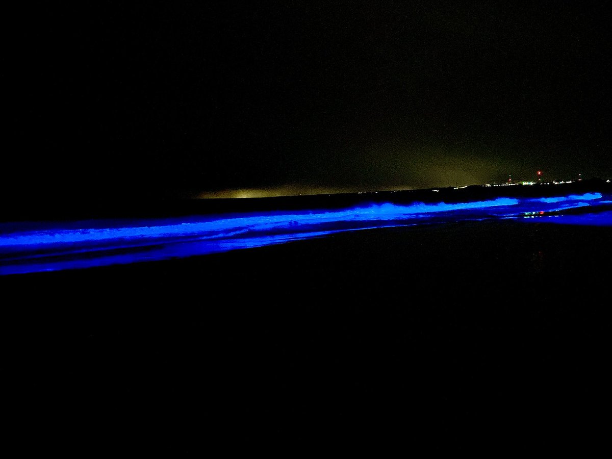 3bB1212's tweet image. クリスマスに大洗来るの初めて✨🎄
 #NIGHTWAVE