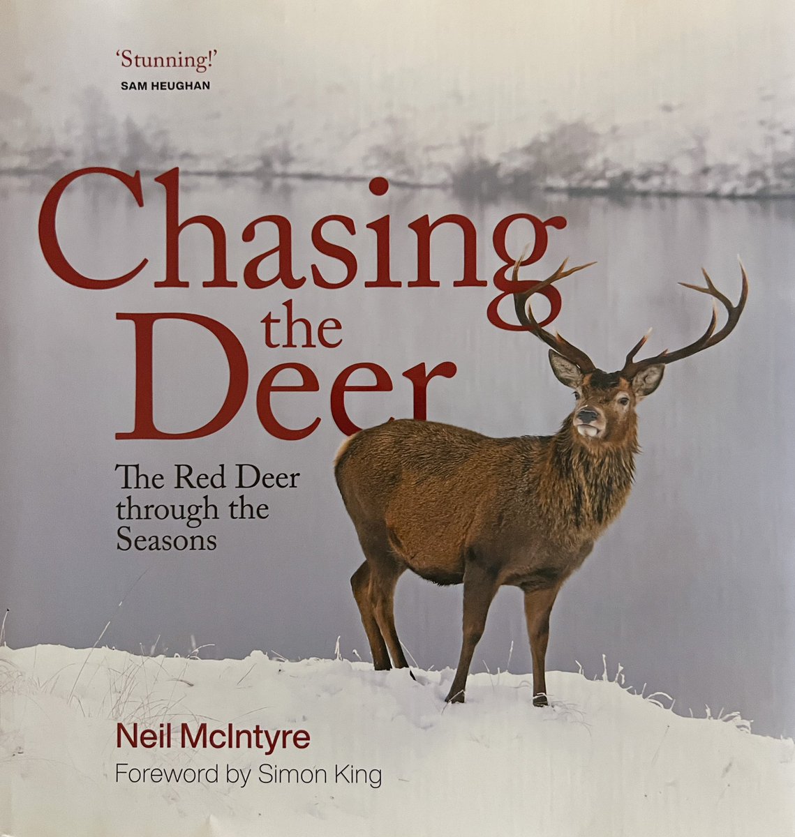 What an amazing present from my wife and what an amazing book. @NeilMcIntyre3 congratulations n an outstanding piece of work. I’m really enjoying it. #chasingthedeer #deer #reddeer #book