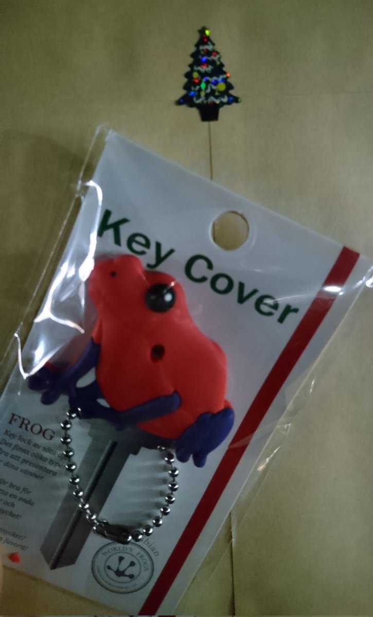 chagkara's tweet photo. zoo🐘shopで買うた🐸🗝️coverと昨日届いた封筒(開けずに持ってきちゃったし)。🎄🎁みたいで嬉しいし( ̄ω ̄)家に帰ってから楽しもう♪
#ぃゃ自分で買ったんだけども
#HandMadeStories https://t.co/nwN827CCIu