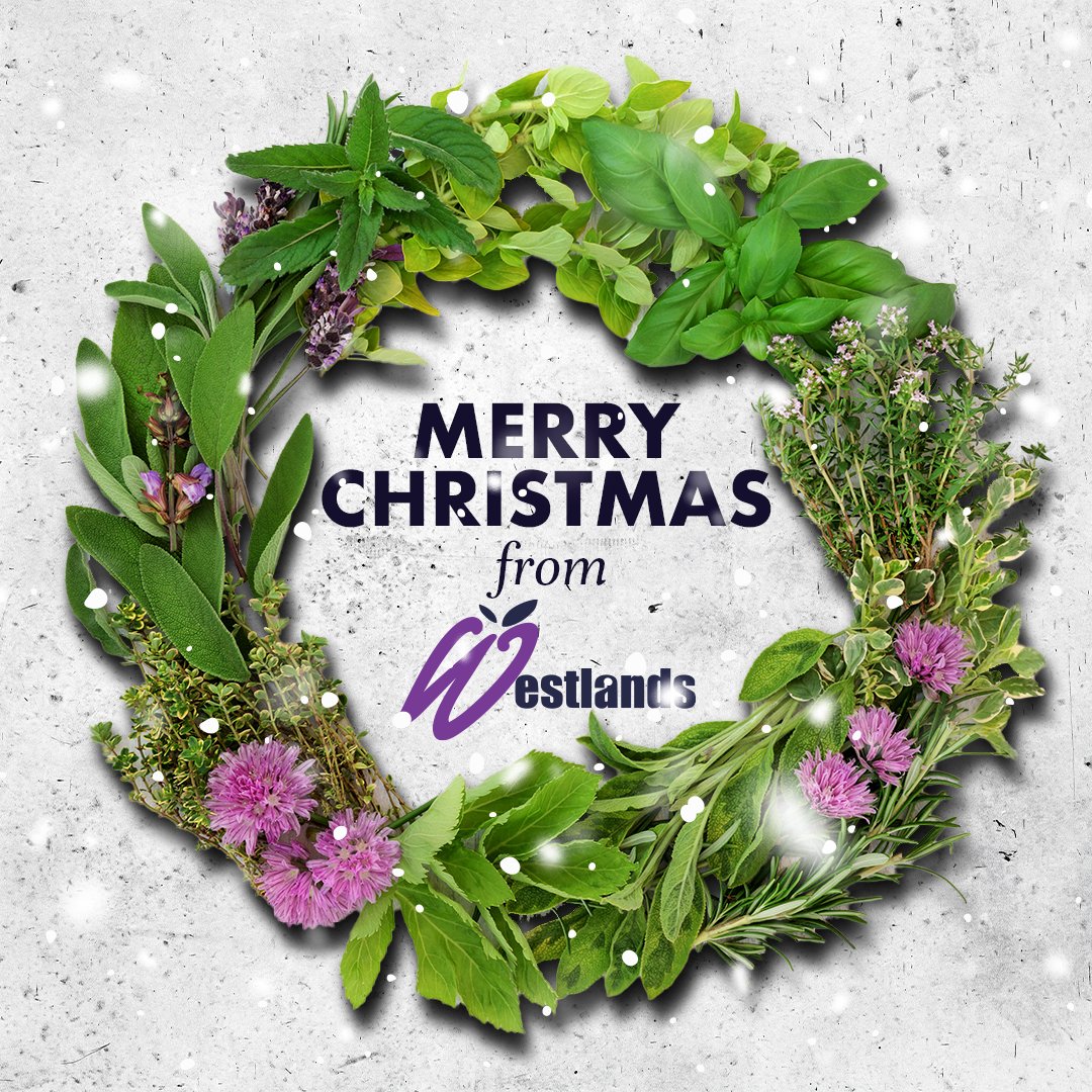 WestlandsUK's tweet photo. Merry Christmas from everyone at Westlands UK!
We hope you have a fantastic day of fun, food and more food. ๐
Thank you for choosing to support us this year!
#EdibleFlowers #MicroLeaves #BritishGrower https://t.co/HNEtVxyEl1