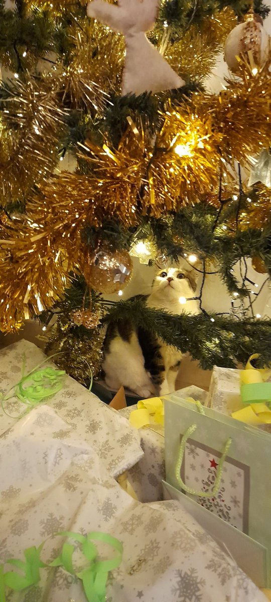 La greti os desea feliz navidad!