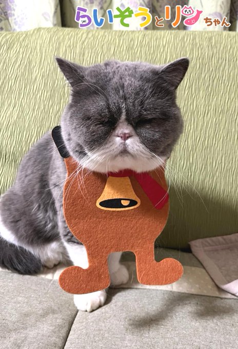 ねこがあらわれたのtwitterイラスト検索結果