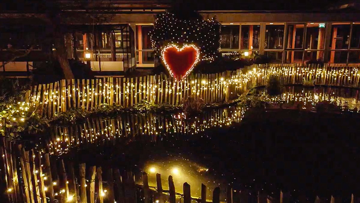 WZH wenst iedereen fijne feestdagen en een gezond en liefdevol 2022! 🎄✨ #fijnefeestdagen #merrychristmas #voorelkaar #kerstmis