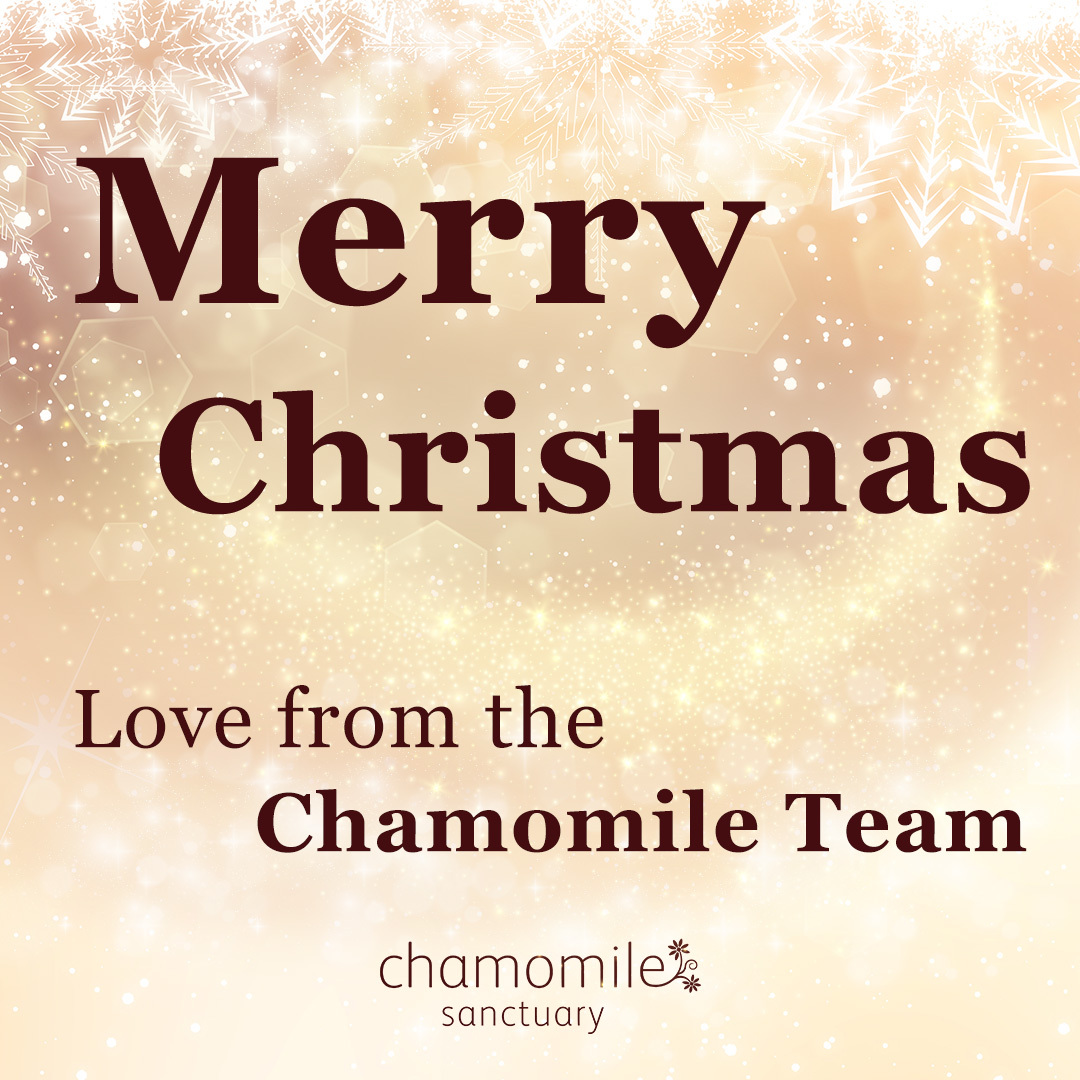 ChamomileSpa's tweet photo. Merry Christmas to all!🎄

We hope you have a wonderful day with friends, family and loved ones.💕 https://t.co/57GfQAM2cp