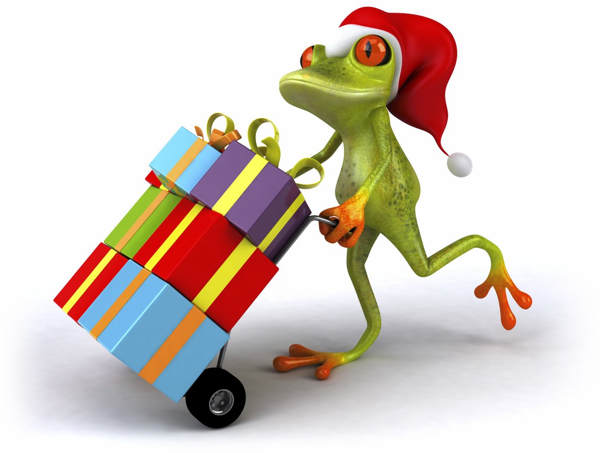 FrogFinancial's tweet image. Merry Christmas from all of us here at Frog!

We hope you have a wonderful day with your loved ones! 🎄💚