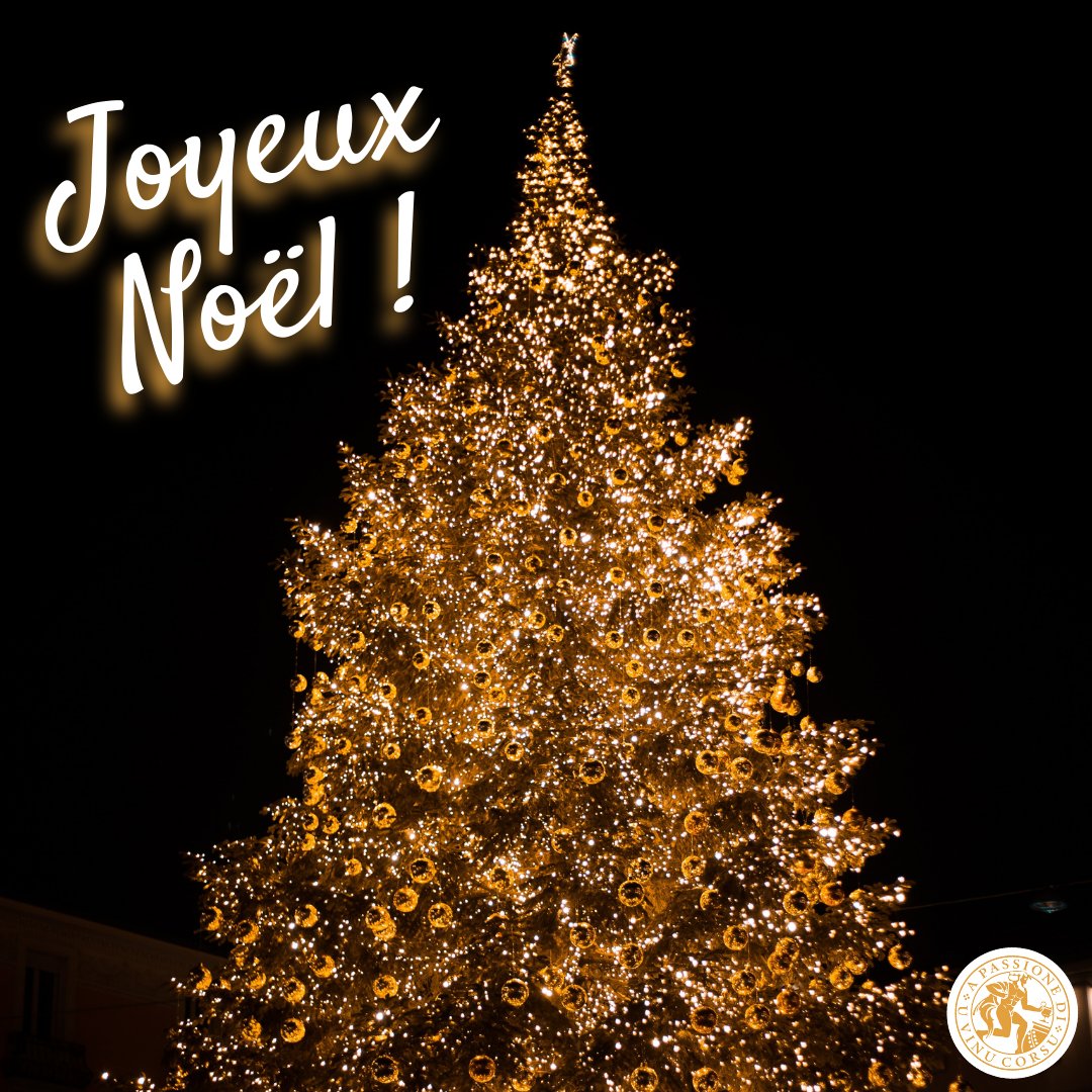 CaveAleria's tweet photo. La Cave d'Aléria vous souhaite un Joyeux Noël 💜🍇
#reservedupresident #vinsdecorse #aleriacorse #borntobewine
#winelover #corsicanwine #nustrale #vinunustrale #joyeuxnoel https://t.co/iuBRyZFUv0