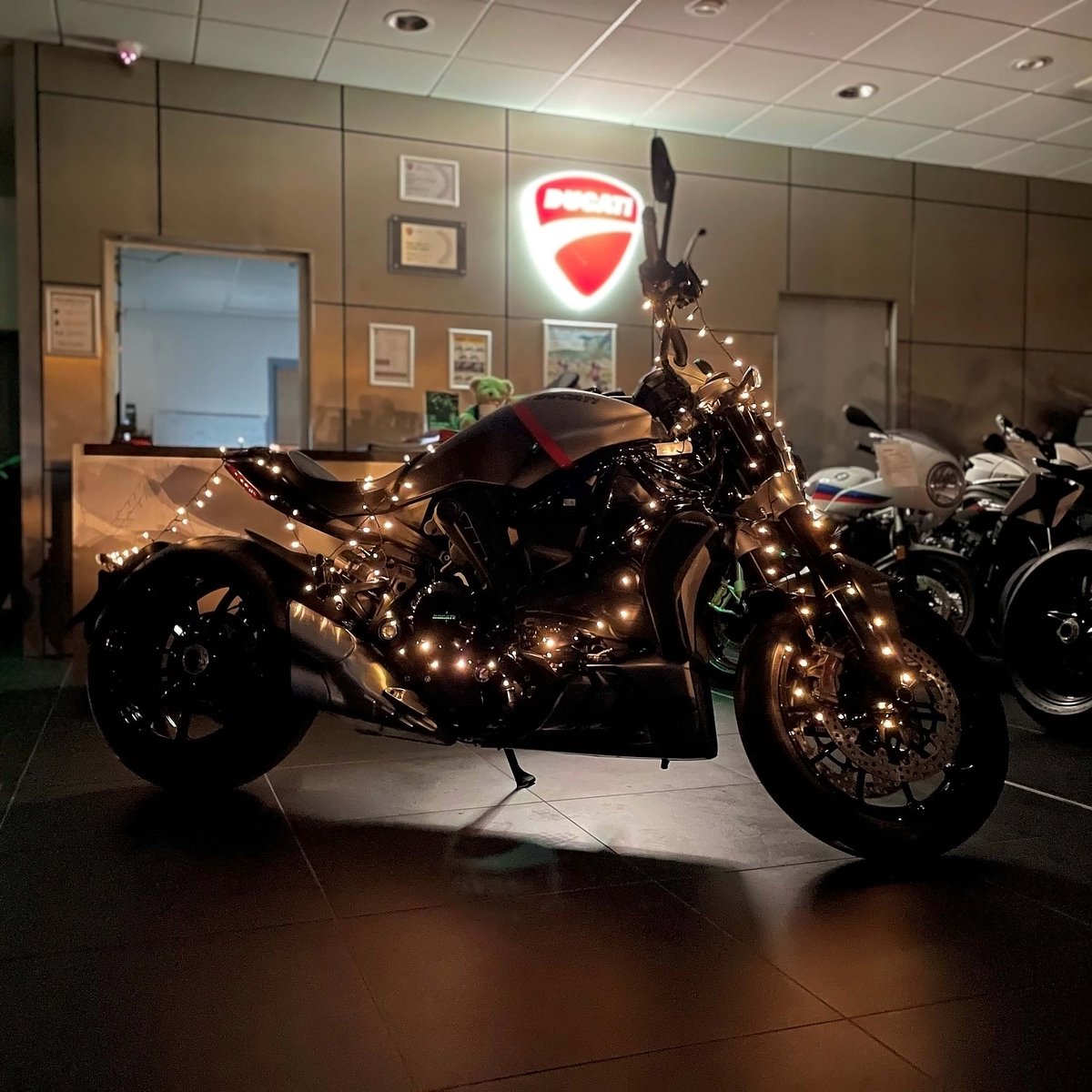Vindis Ducati tweet media