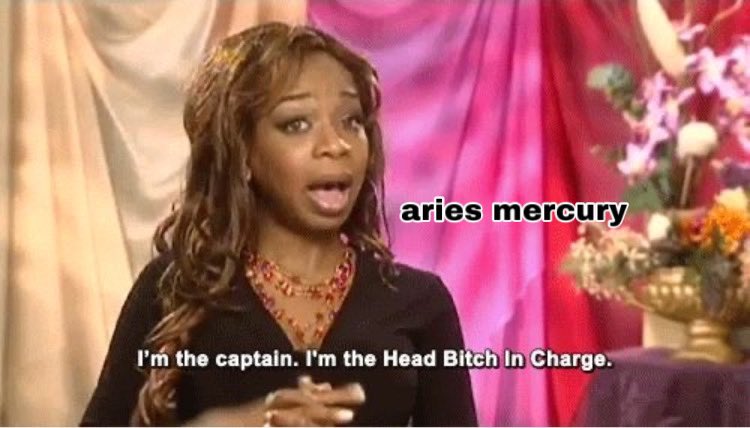 SATURNIANINTJ's tweet photo. qrt with the memes i associate with your big 4

aries https://t.co/sY2hPKqtVh