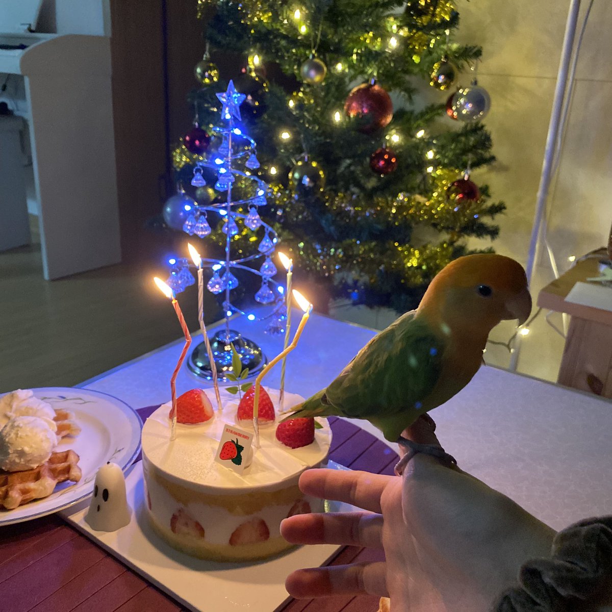 타민이 생일 축하해☺️🎉