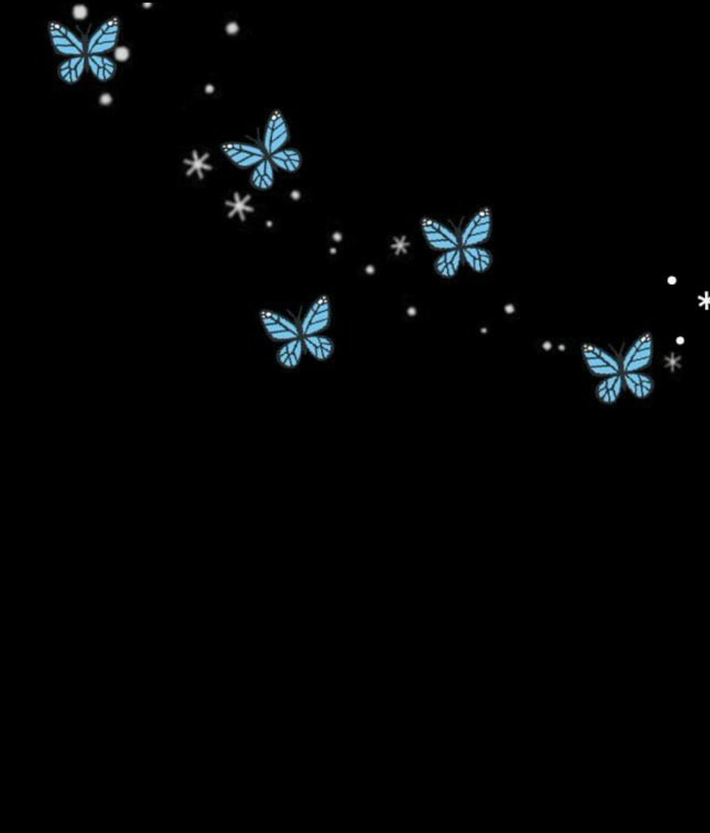 کفتر کاکل به سر وای وای⁷ tweet media