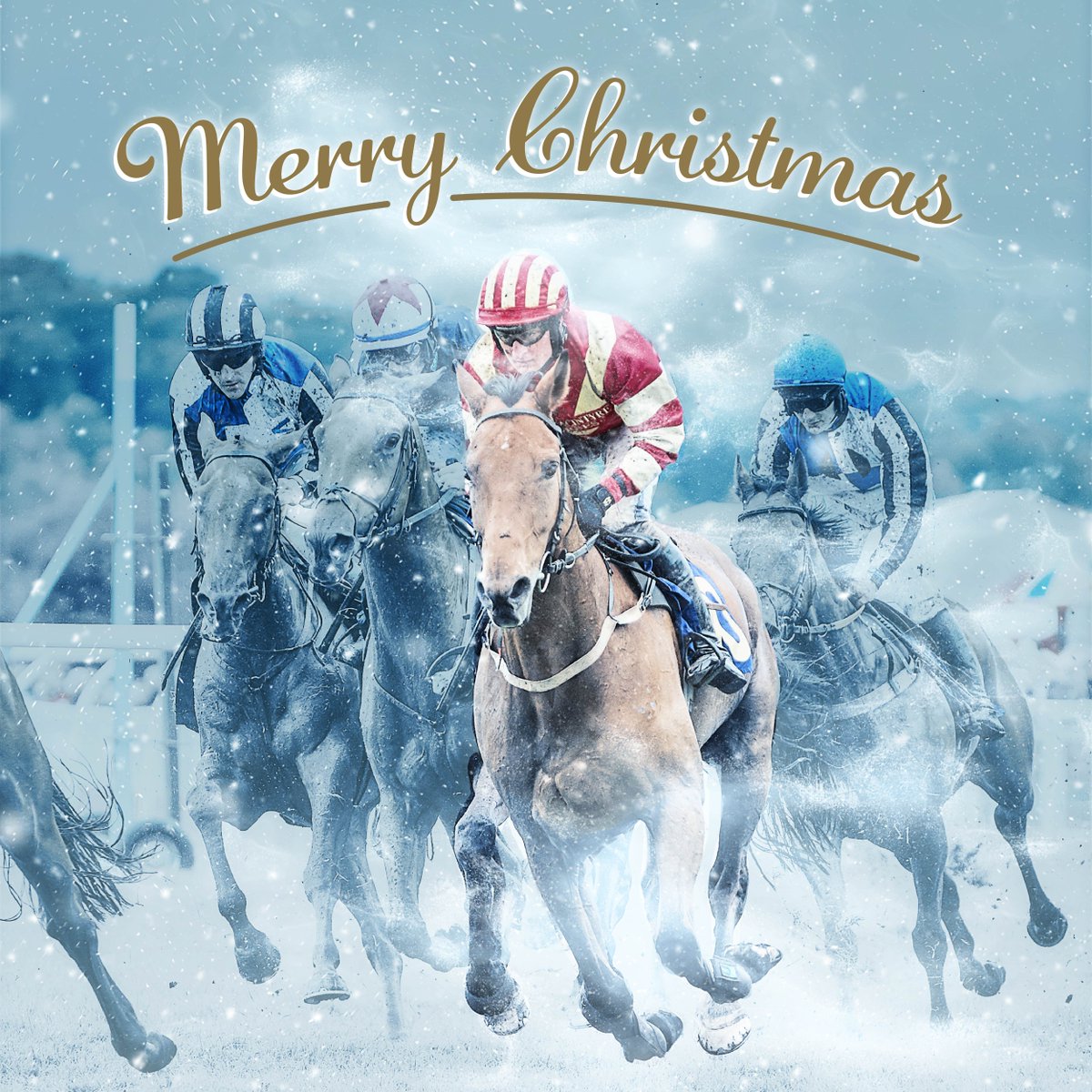 PerthRacecourse's tweet photo. Happy Christmas to all 🎄

We hope you have a wonderful day with your loved ones. Thank you for your continued support throughout 2021.

We can't wait to welcome you back through the gates in April for the Perth Festival 🏇 https://t.co/LLKISvHueX