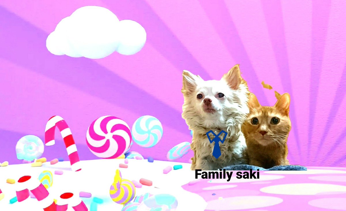 75japan_neko's tweet photo. Family    家族🐈🐶☁🌈🍭🍬🍬 https://t.co/npT4EYBhoe
