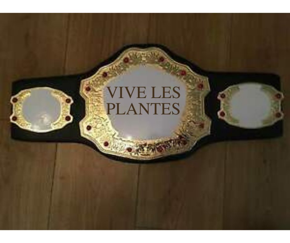 AlexKleenex's tweet photo. Étant fan de plante j'apprécie énormément ce magnifique cadeaux personnalisé ! Merci beaucoup père Cena ! Vive le catch ! 
#vivelecatch https://t.co/w4qRAEtgNf