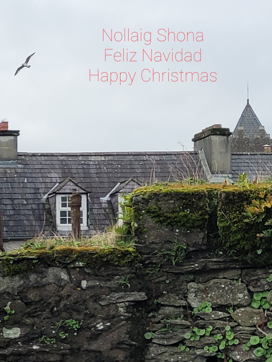 #dingle #WildAtlanticWay #SantaClaus #ChristmasSwim