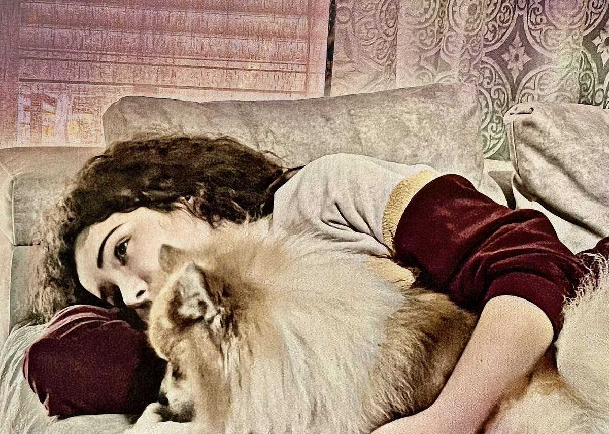 Nachyripop's tweet photo. Cuando el amor es incondicional!❤️❤️❤️#miguardian https://t.co/RYu5oAU1U2