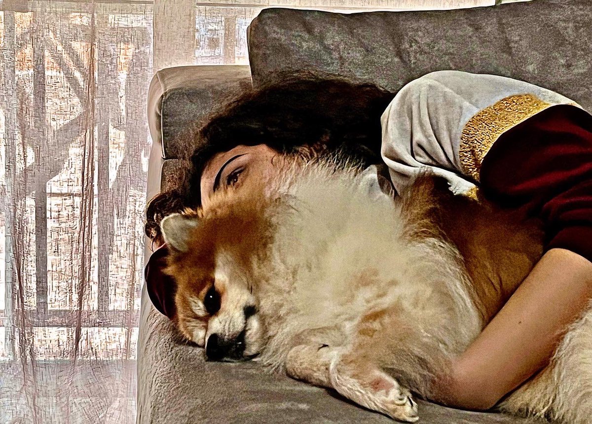 Nachyripop's tweet photo. Cuando el amor es incondicional!❤️❤️❤️#miguardian https://t.co/RYu5oAU1U2
