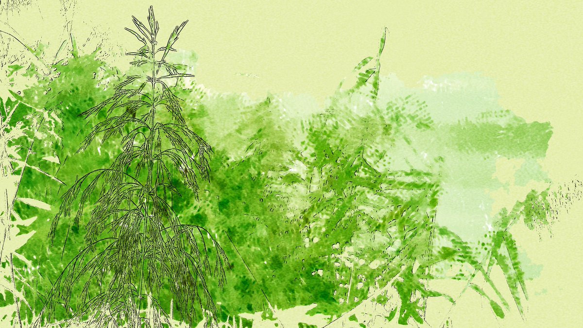 GreeNature
hic.art/601332 | objkt.link/601332

Forget not that the earth delights to feel your bare feet and the winds long to play with your hair.

#hicetnunc <a href="/objktcom/">objkt</a> @onhicetnunc #NFT #tezosart #NFTs pic.x.com/r1tuzuyHu9