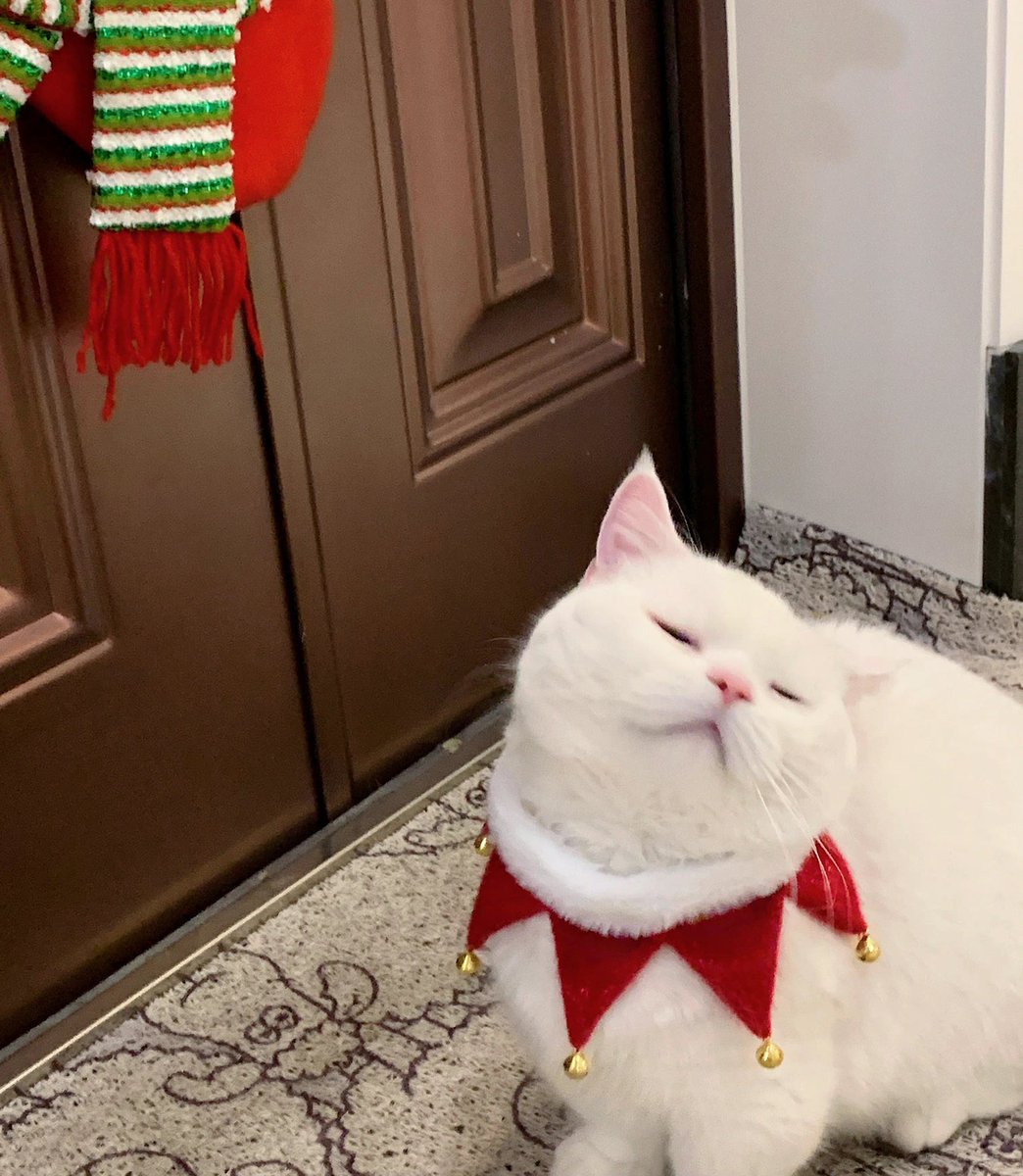 Merry Christmas!!!🎄🎁 🎁🎁