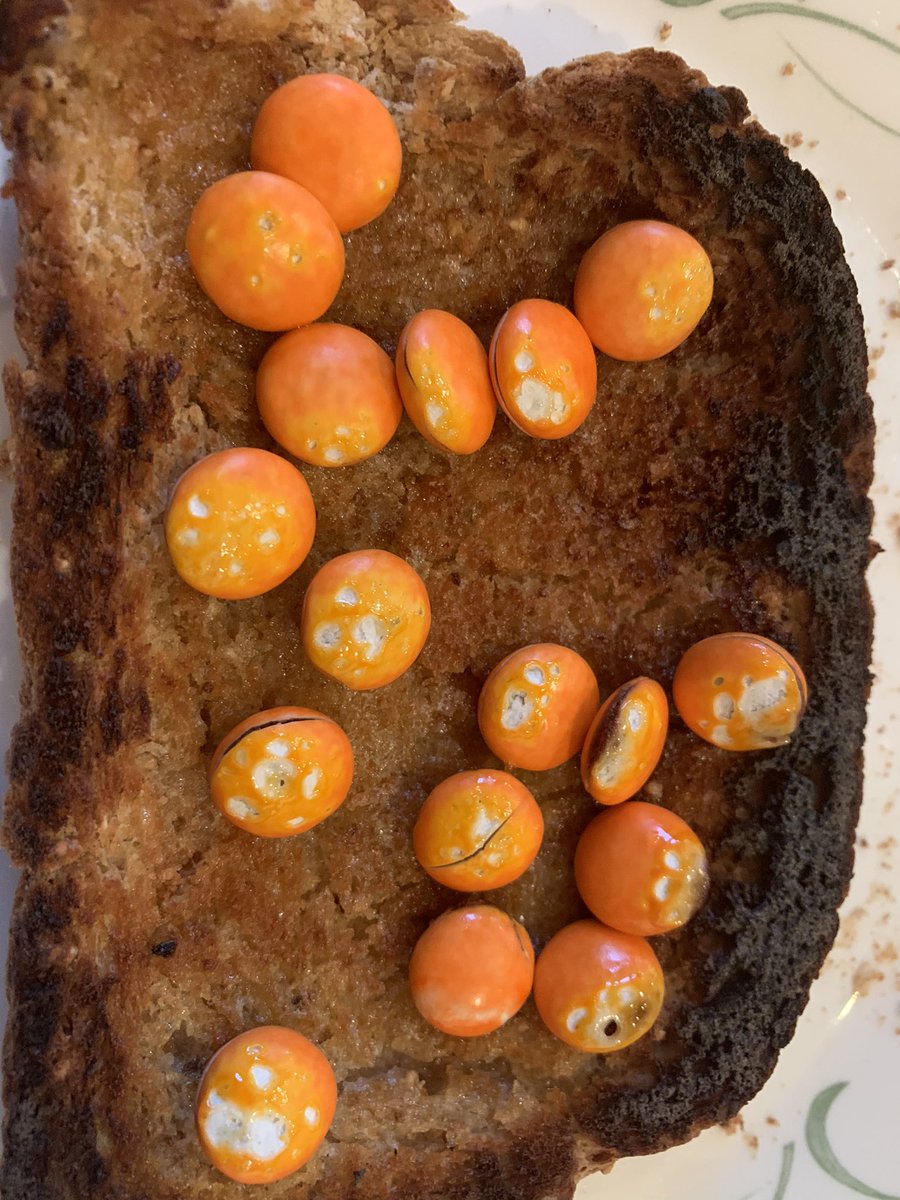 Orange Smarties on Toast
Merry Christmas everybody