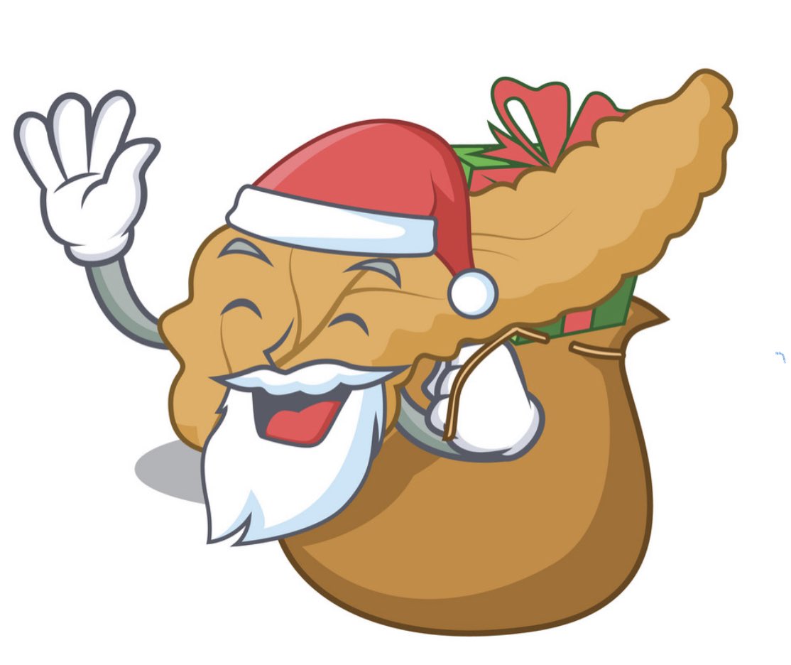 🎄 Merry Christmas to all the Youppies 🎄 from the bottom of our… PANCREAS!!! 💜 

Hope you’re all safe and ready to rock again in 2022 

#young #wild #pancreatologists