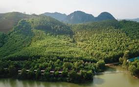 chicoem2's tweet image. Especially when most recently, the Department of Culture, Sports and Tourism has written a request to the province to consider and send the Ministry of Culture, Sports and Tourism to report to the Prime Minister for consideration and addition of Binh Thuan to the list.