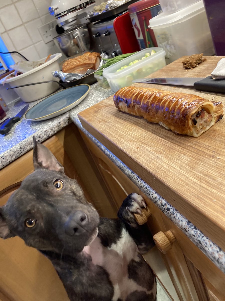 Matt Christmas (@mattchristmas1) on Twitter photo 