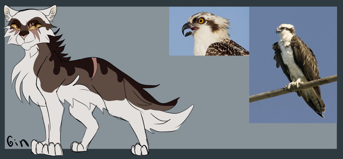 Дизайн Скопы на основе её русского имени 

 #warriorcats