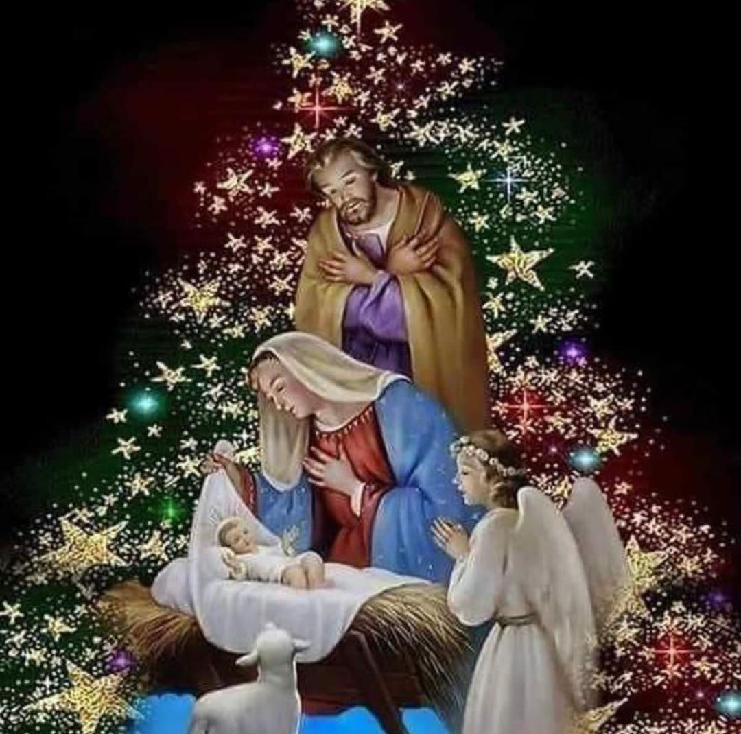 zapatajg's tweet photo. Feliz Navidad !!! Bendiciones 🙏 https://t.co/8MMXWjmpLk
