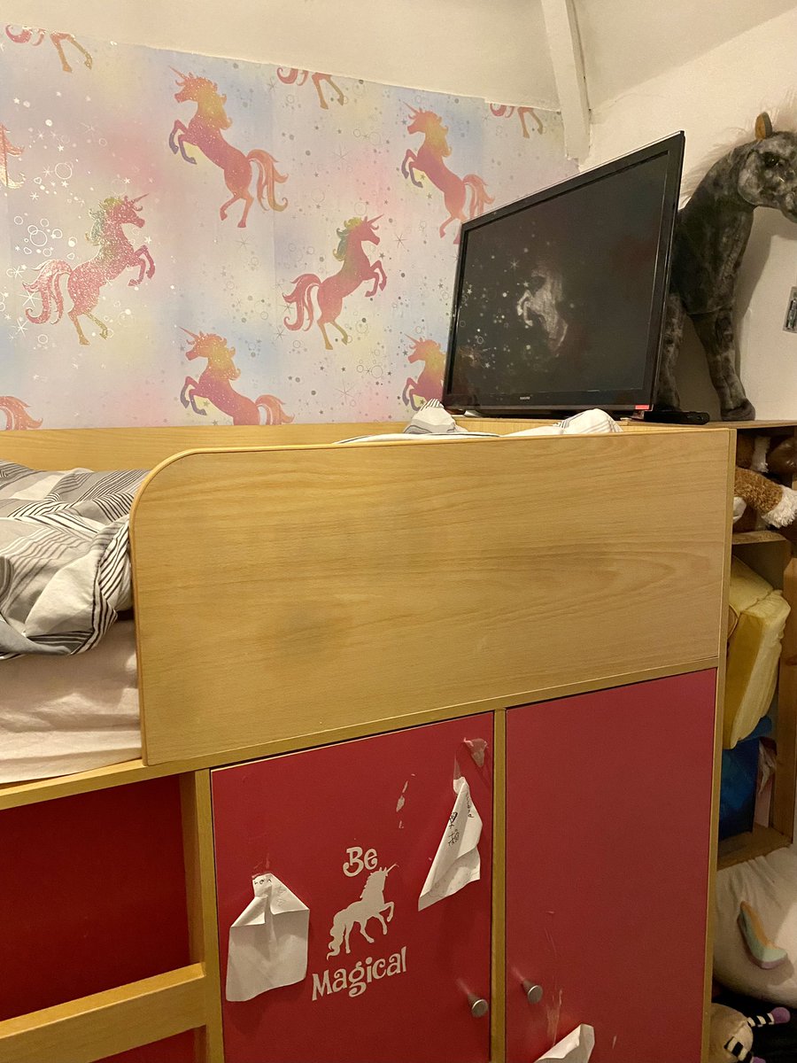 EverlyAurora's tweet photo. @rhodri 8 year old nieces bedroom! Whole thing is plastered in unicorns! I’m not hating it! https://t.co/kq5LmEoTxY