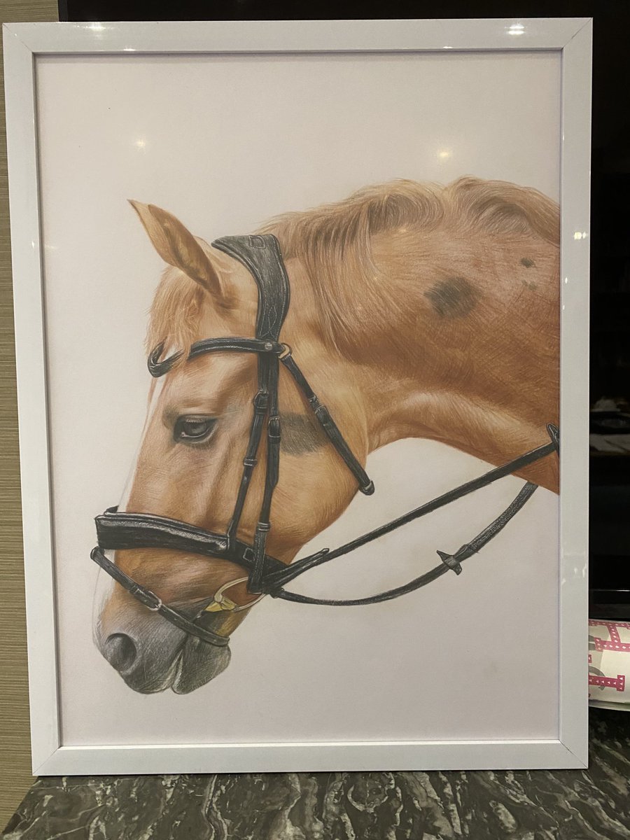 Somebody very kindly sent us this picture of Chilli, but without a note or any sending address. If anyone knows who it is from, it would be lovely to know!