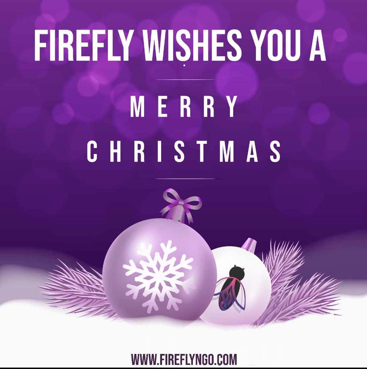 FireflyNgo's tweet photo. May your day be merry and bright!

#MerryChristmas #HappyChristmas2021 #Christmas https://t.co/B9SPDk77x3
