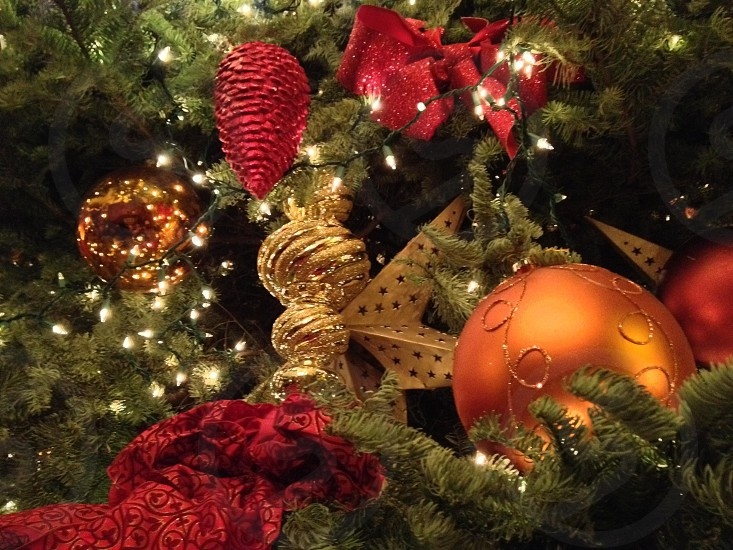 Where2NextT's tweet image. May this Christmas find you surrounded by those you love and those who love you.

Helping you see the WORLD, one experience at a time.™