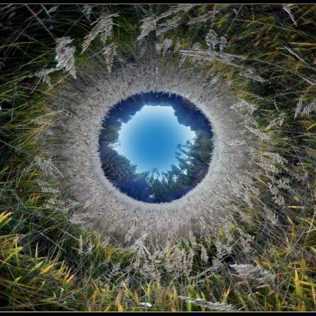 SuperInfinity96's tweet image. nature eyes 😯