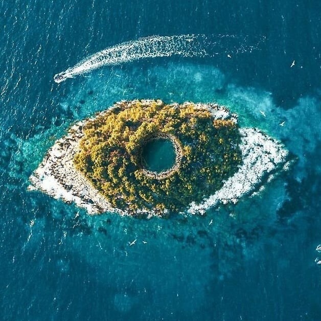 SuperInfinity96's tweet image. nature eyes 😯