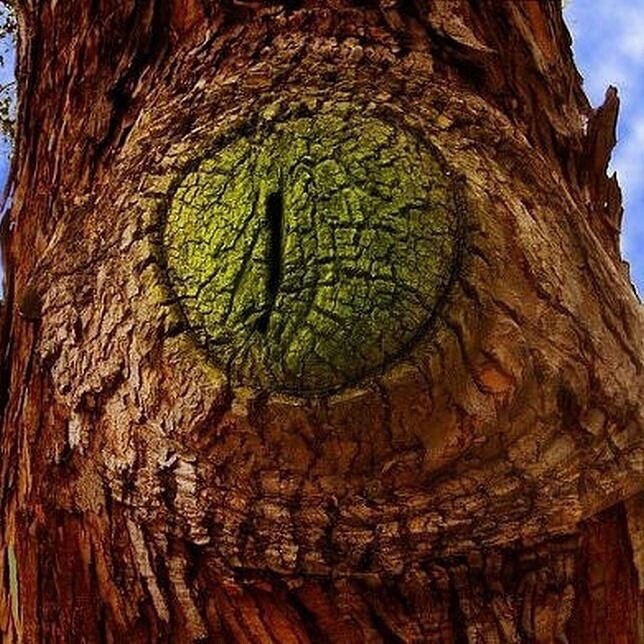 SuperInfinity96's tweet image. nature eyes 😯