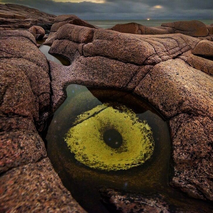 SuperInfinity96's tweet image. nature eyes 😯