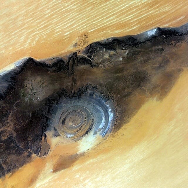 SuperInfinity96's tweet image. nature eyes 😯