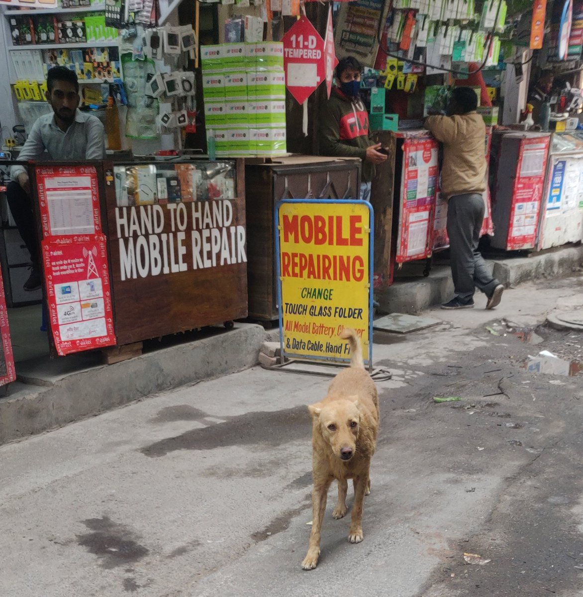 twinsighter's tweet image. Sometimes, deliciously, they signal the very Indian habit of translating a common phrase from a local language (in this case, Hindi) into English, putting the onus on the reader to know the original idiom and its meaning and origin. #SignsOfOurTimes