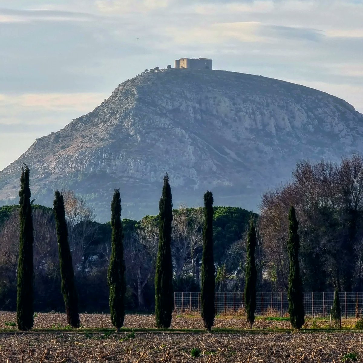 El Montgrí i el seu castell. #montgrí #castelldemontgrí #torroellademontgrí #baixempordà #bicicleta #gravel #hivern2021